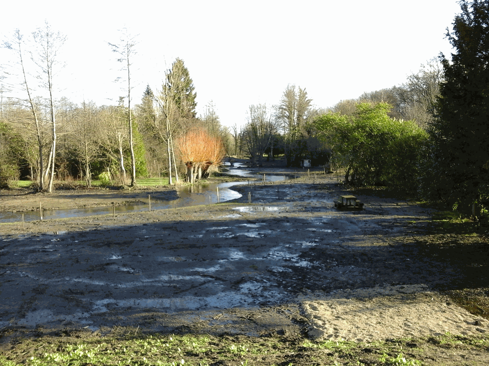 Odoo- Echantillon n° 2 pour trois colonnes